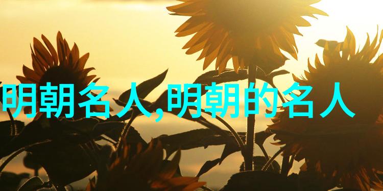 戚继光(1528年1588年)