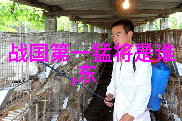 秦躁公(公元前499年公元前429年)