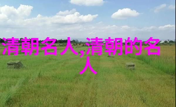 贾敬()