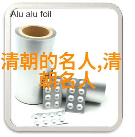 贾惜春()