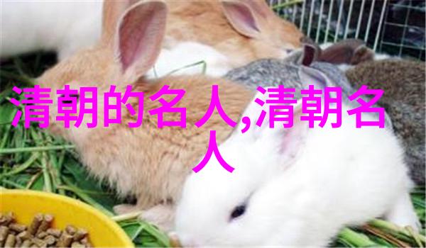 邢岫烟()