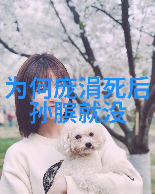 宋襄公(未知公元前637年)