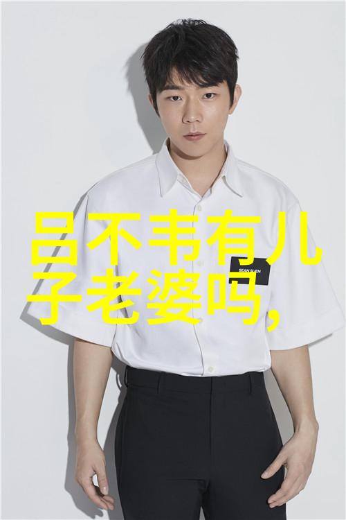 魏无忌(公元前243年)
