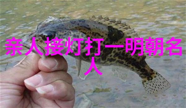 朱慈焕