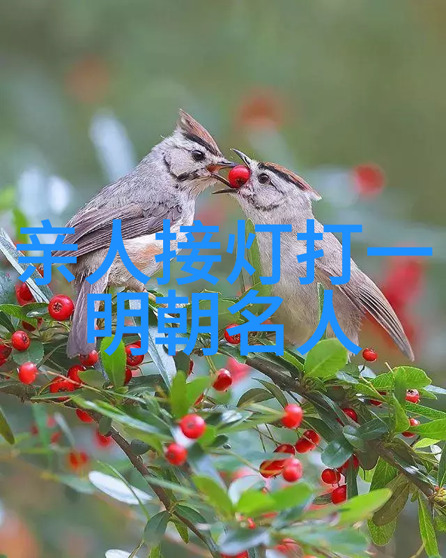 孝肃皇后(15世纪1504年)